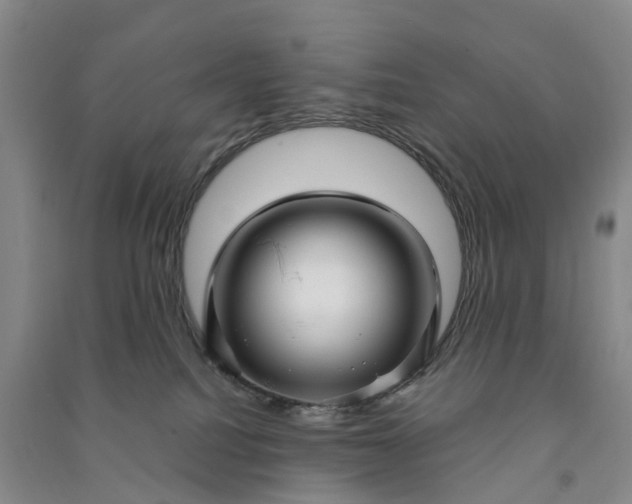 X0000090960088200708161824