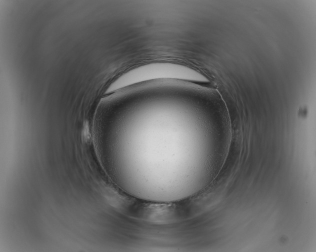 X0000090960089200708161824