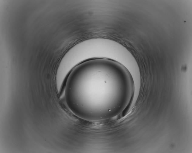 X0000090960090200708161824