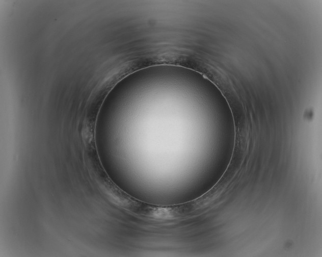 X0000090960091200708161824