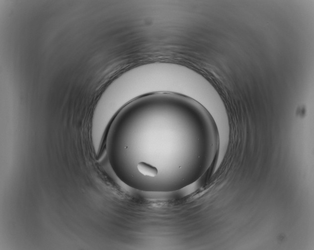 X0000090960092200708161824