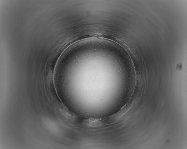 X0000090960093200708161824