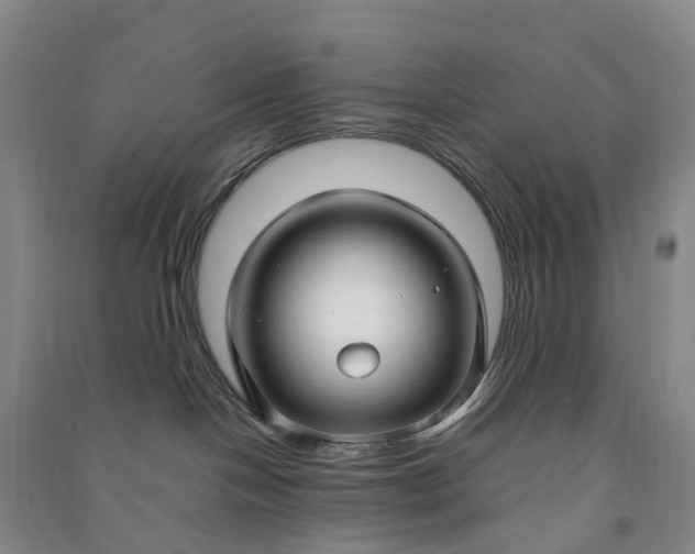 X0000090960094200708161824
