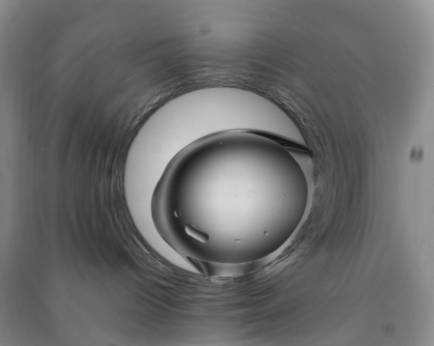 X0000090960096200708161824