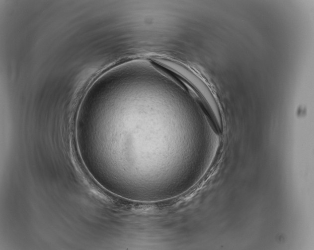 X0000090960097200708161823