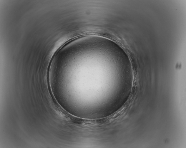 X0000090960099200708161823