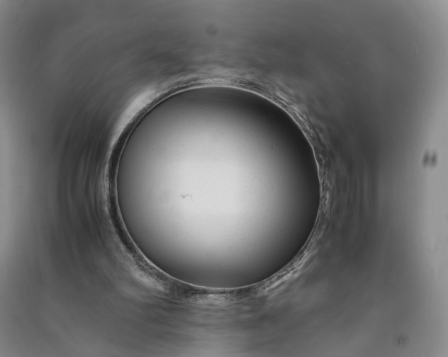 X0000090960102200708161823