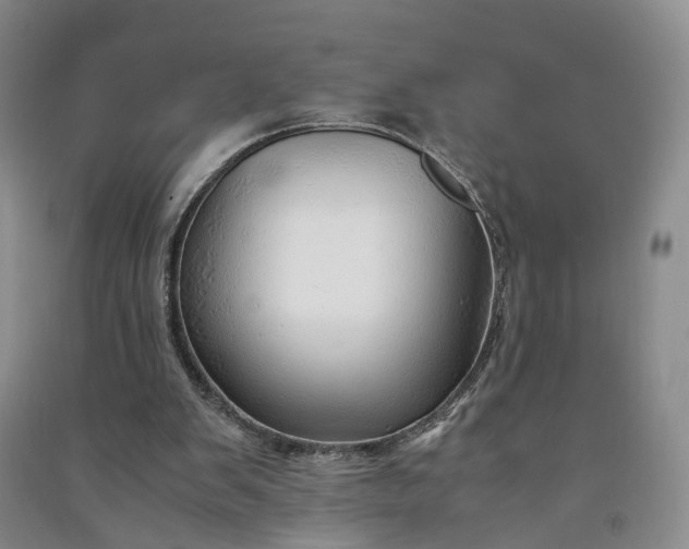 X0000090960103200708161823