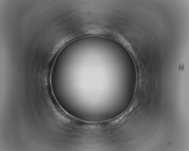 X0000090960106200708161823