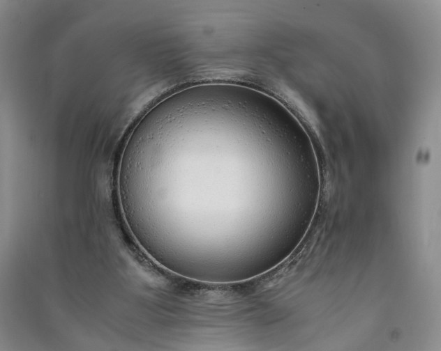 X0000090960107200708161823