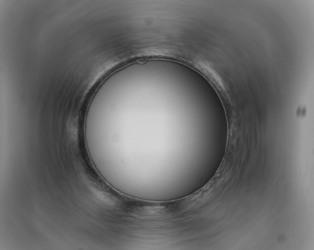 X0000090960108200708161823
