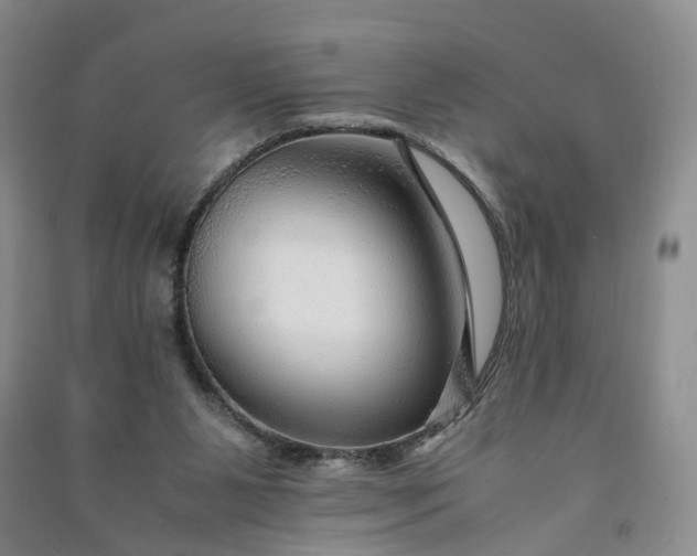 X0000090960111200708161823