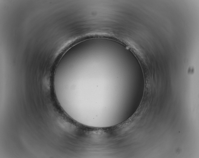 X0000090960112200708161823