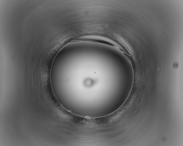 X0000090960113200708161823