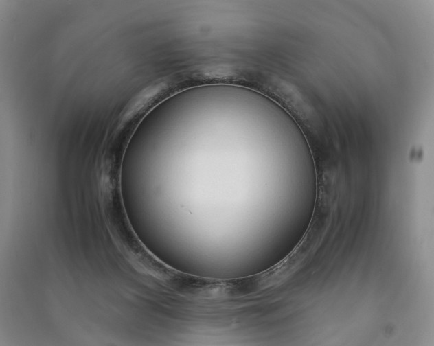 X0000090960116200708161823