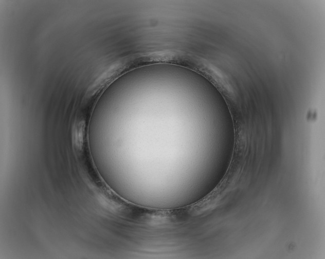X0000090960118200708161823