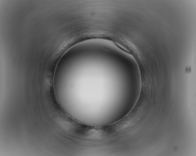 X0000090960119200708161823