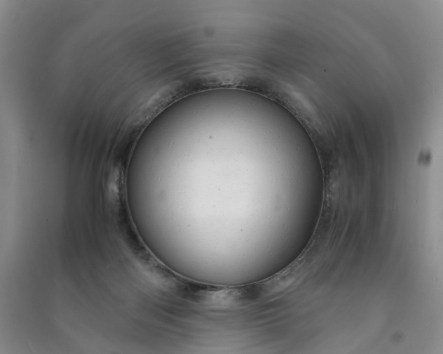 X0000090960122200708161823