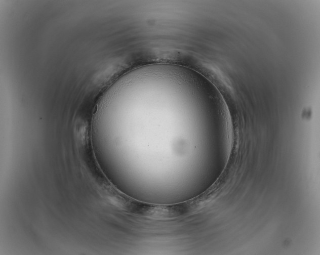X0000090960123200708161823