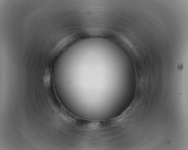 X0000090960124200708161823