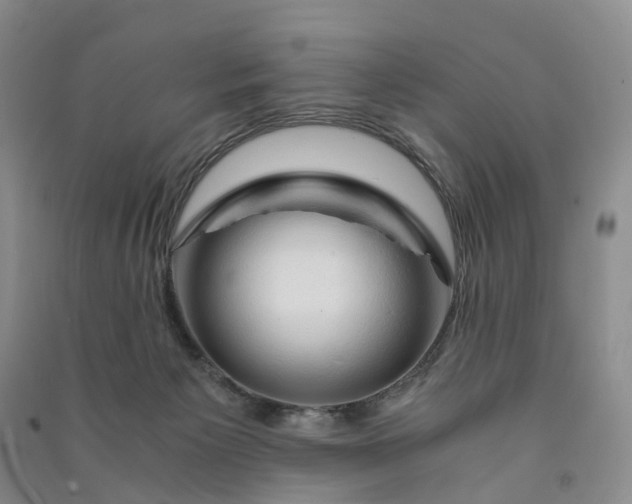 X0000090960125200708161823