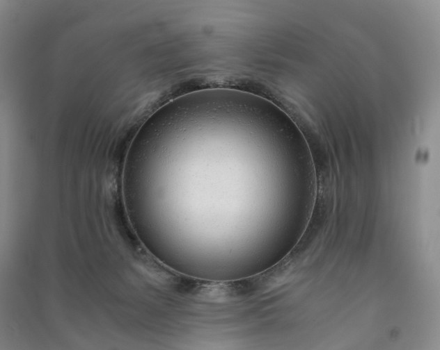 X0000090960127200708161823