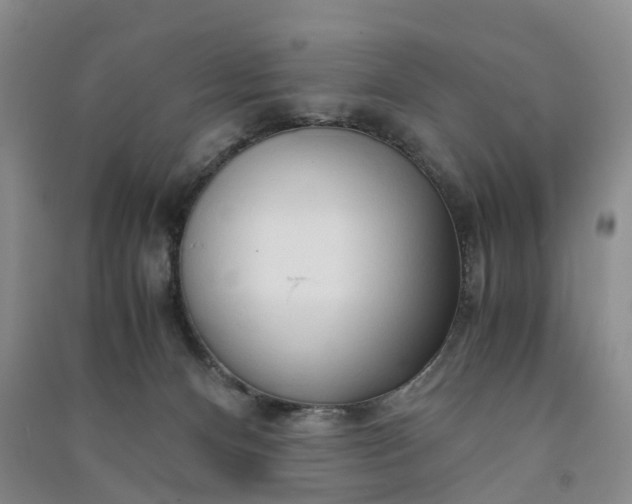 X0000090960128200708161823