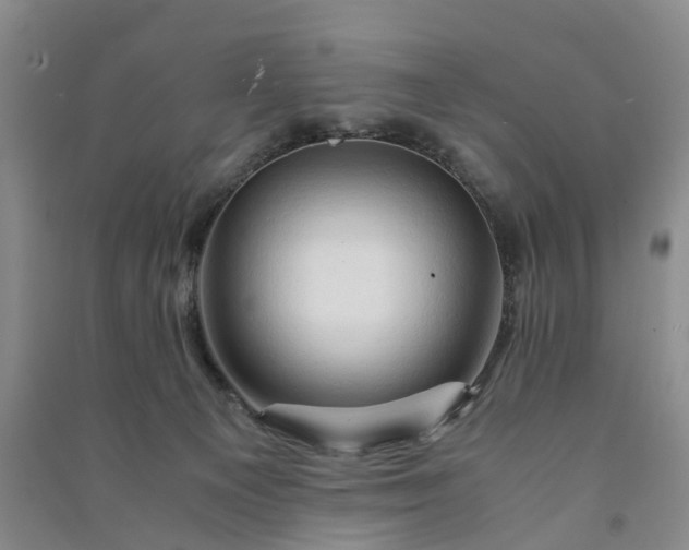 X0000090960129200708161823