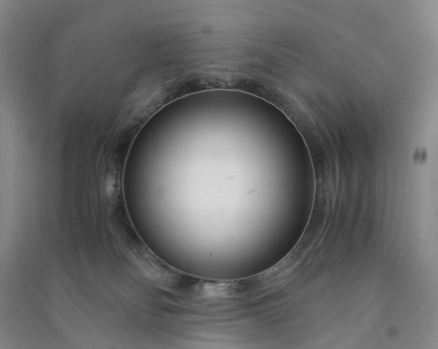 X0000090960134200708161823