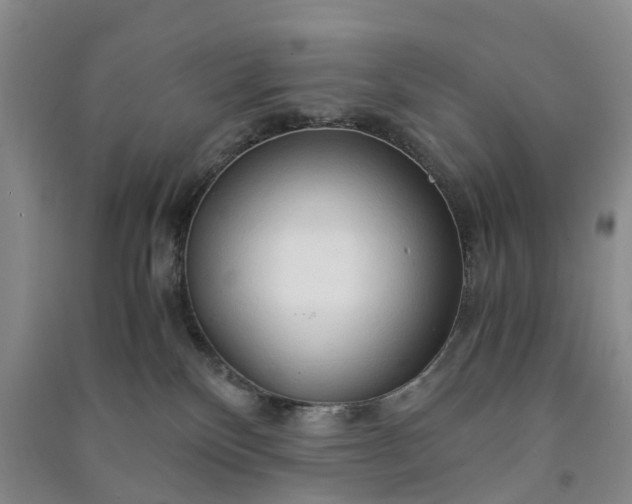 X0000090960136200708161823
