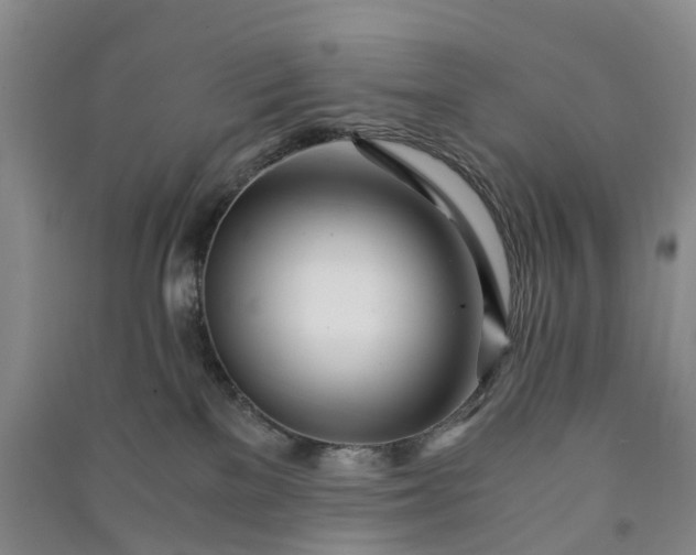 X0000090960137200708161823