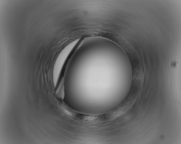X0000090960139200708161823