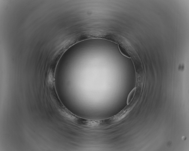 X0000090960143200708161823