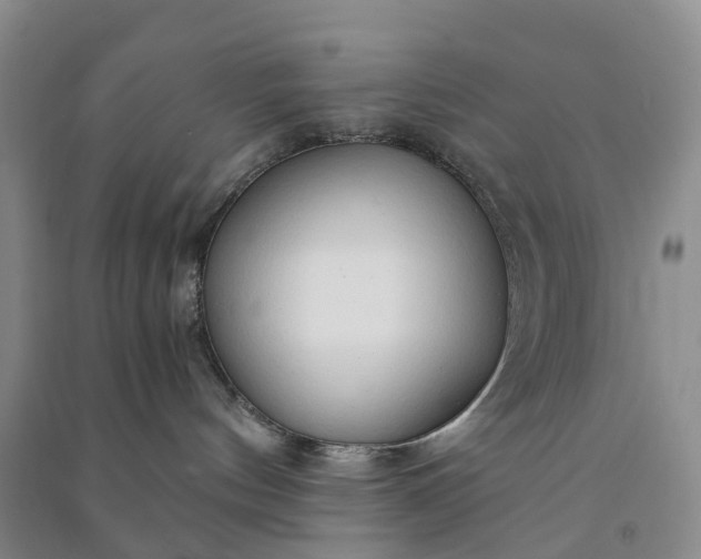 X0000090960144200708161823