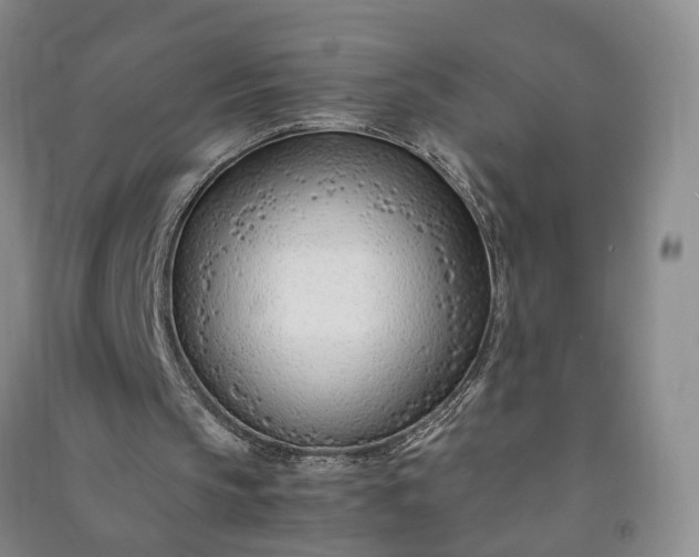 X0000090960145200708161822