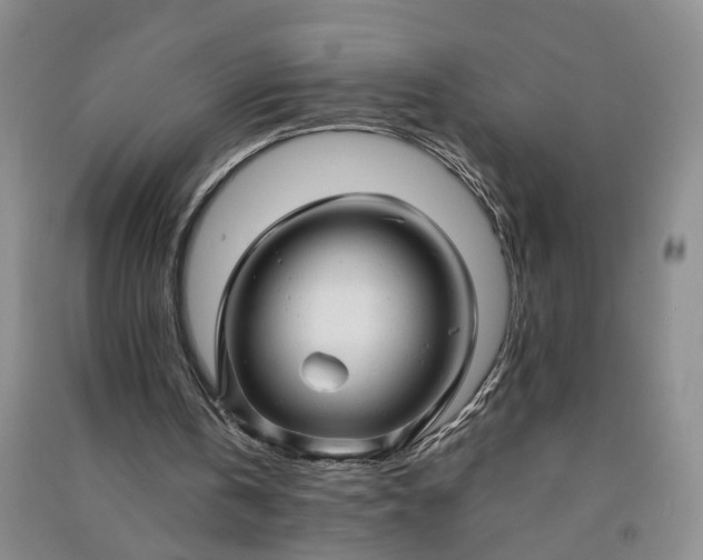 X0000090960146200708161822