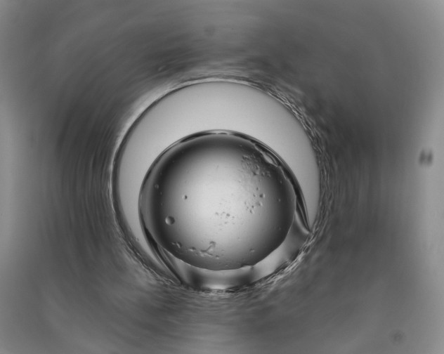 X0000090960148200708161822