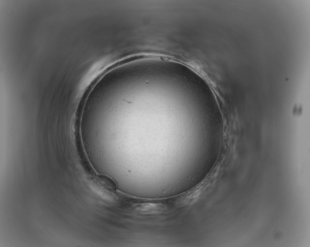 X0000090960151200708161822