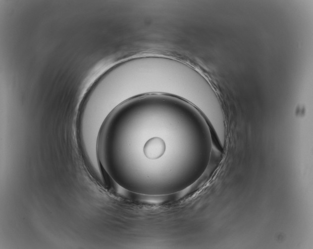 X0000090960152200708161822