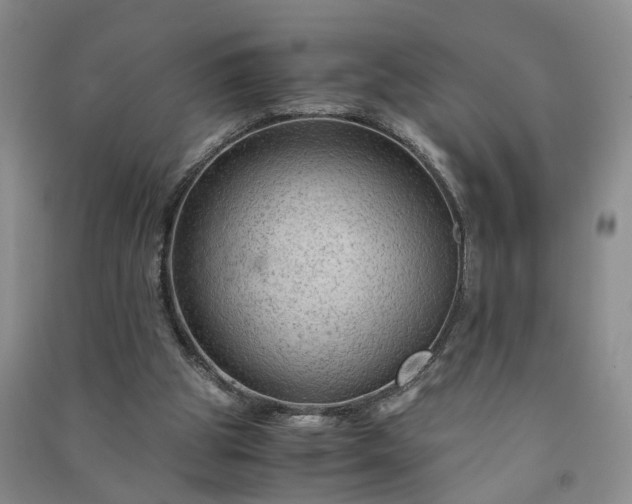 X0000090960153200708161822