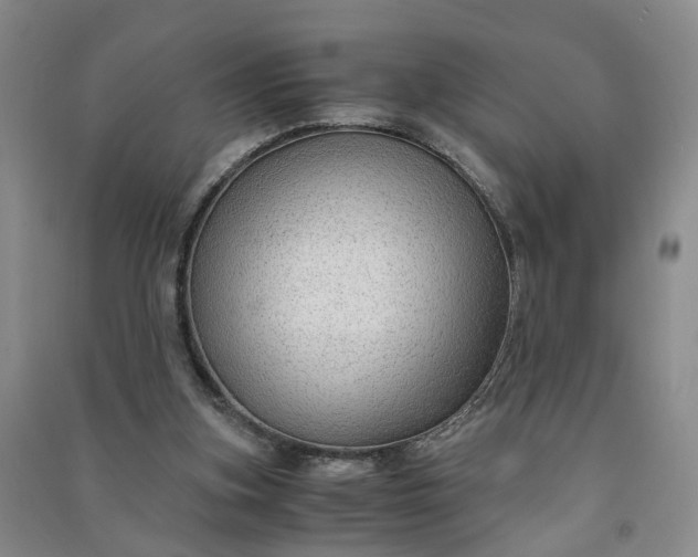 X0000090960155200708161822