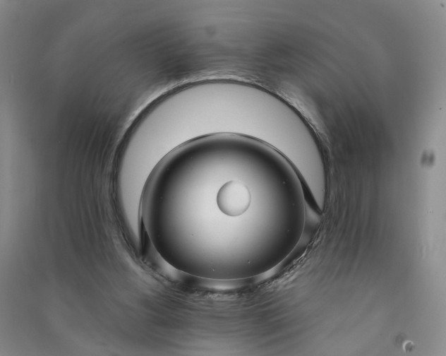 X0000090960156200708161822