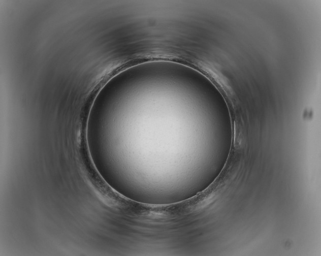 X0000090960157200708161822