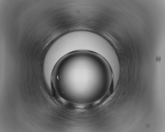 X0000090960158200708161822