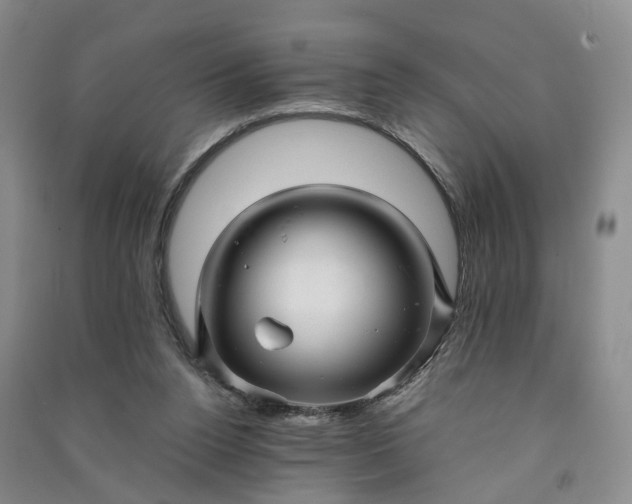 X0000090960160200708161822