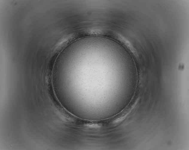 X0000090960161200708161822