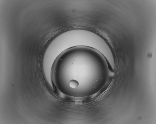 X0000090960162200708161822