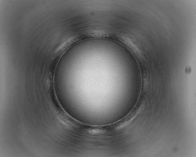 X0000090960165200708161822
