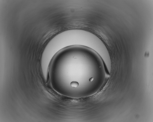 X0000090960166200708161822