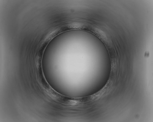 X0000090960167200708161822